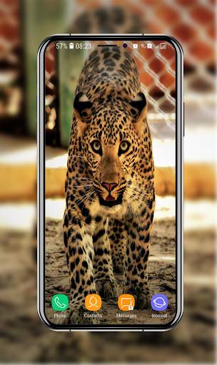 New Cheetah Wallpapers screenshot 8