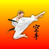 Karate Fight Champ 2018 Pro 1.0.0