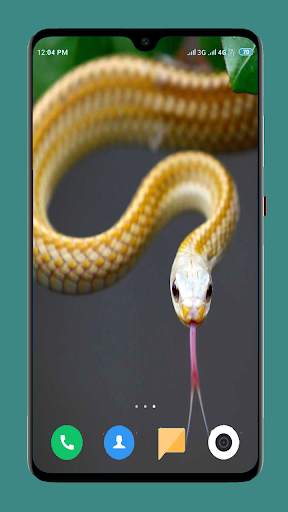 Snake Wallpaper HD screenshot 5