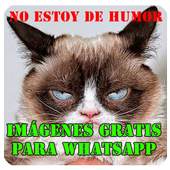 imágenes frases para whatsapp 2.0
