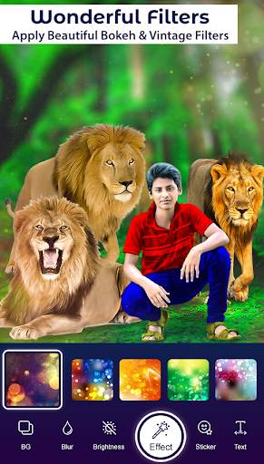 Lion Photo Editor screenshot 6