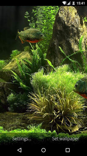 3D Fish Aquarium Wallpaper HD screenshot 7