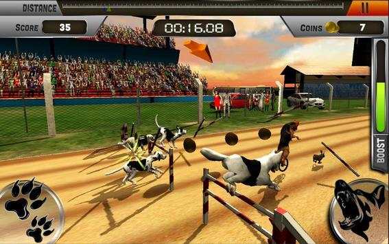 Crazy Dogs Racing Bunny Hunter : Greyhound Dog Sim screenshot 6