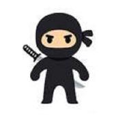 Go Ninja! icon