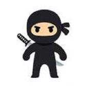 Go Ninja! 2.0