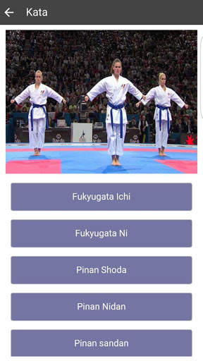 Karate-Do screenshot 3