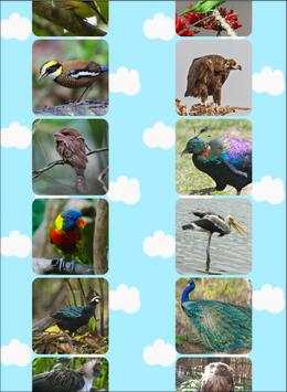 Bird Sounds Bird Puzzle - birds around the world screenshot 5