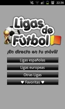 World Leagues screenshot 1