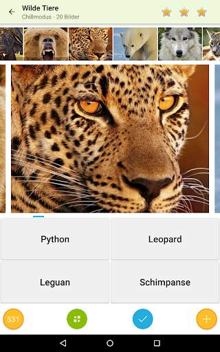 Foto Quiz - Bilder raten screenshot 2