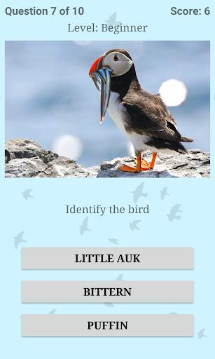 British Birds ID Quiz Pro screenshot 4