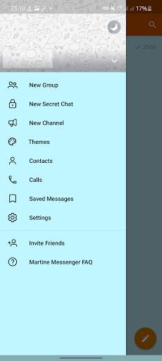 Martine Messenger screenshot 4
