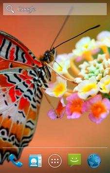 Butterfly Live Wallpaper screenshot 4