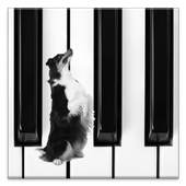 Dog Piano 2.1