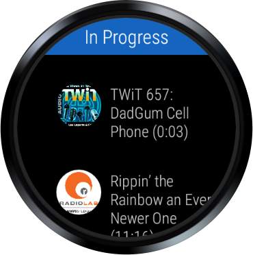 Wear Casts: A standalone podcast player for WearOS screenshot 8