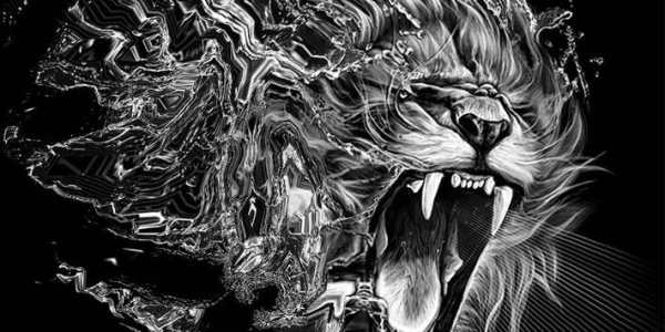 Wild Lion Theme screenshot 2