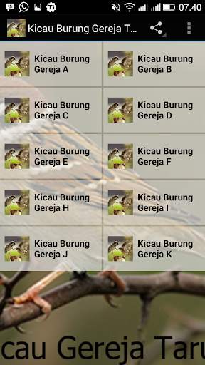 Kicau-Kicau Burung Gereja Tarung screenshot 1