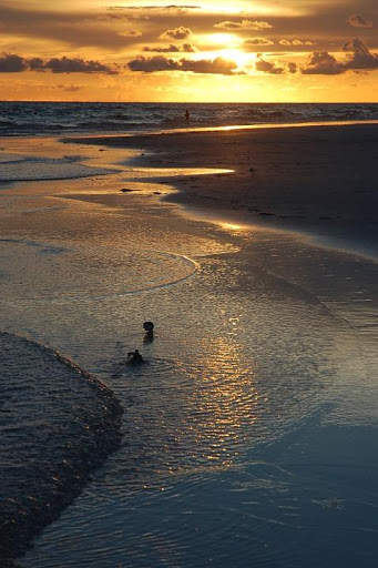 Florida Wallpaper Travel screenshot 12