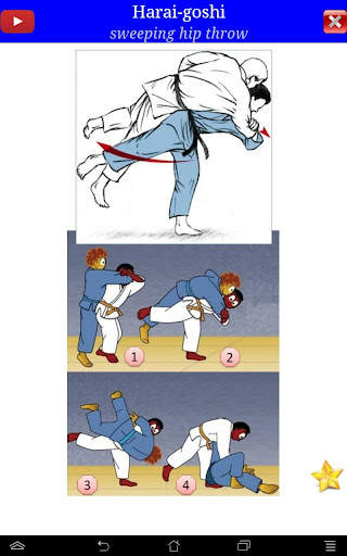 Judo in brief screenshot 18