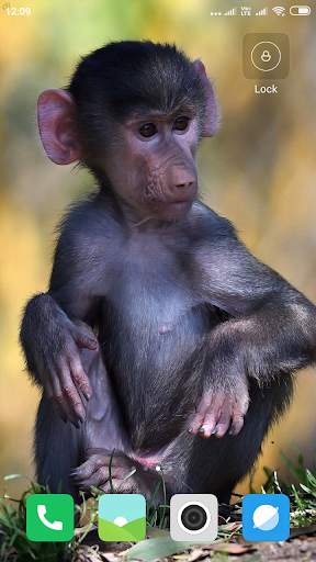 Monkey Wallpaper screenshot 11