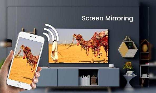 Screen Mirroring screenshot 5