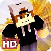 HD Skins for Minecraft logo