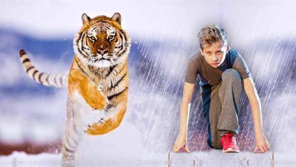 Wild Animal Photo Editor-Animal Photo Frame Editor screenshot 5