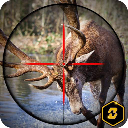 Buck Fever: American Hunter 3D 1.0