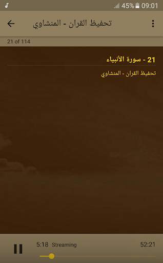 تحفيظ القران الكريم بصوت المنشاوي screenshot 4