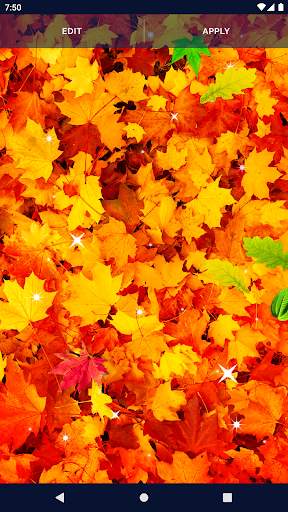 Spring Leaves Live Wallpaper screenshot 4
