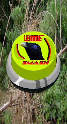Lemme smash bird sound button screenshot 1