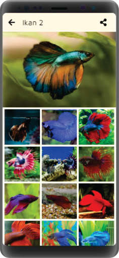 Wallpaper Ikan screenshot 3
