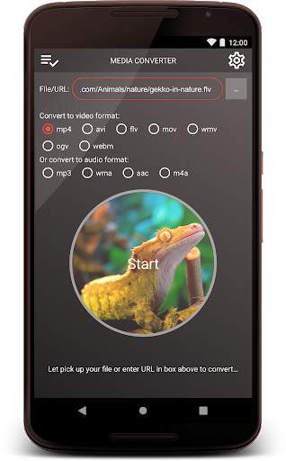 Platinum Media Converter screenshot 1