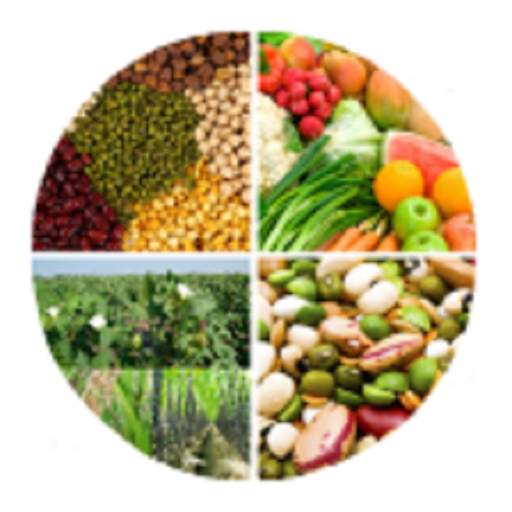 Sugarcane,Mustard & Wheat-IFCs 1.1