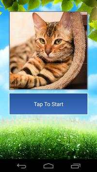 Cats Funny Puzzle screenshot 3