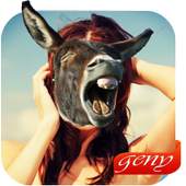 Animal Change Face Geny 1.0