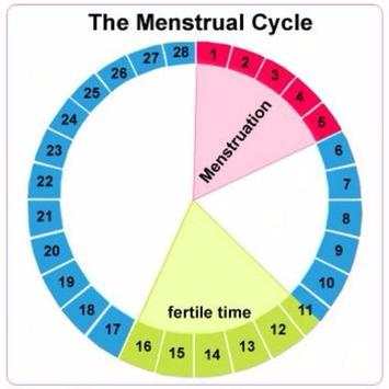 Ovulation Calculator and  App screenshot 1