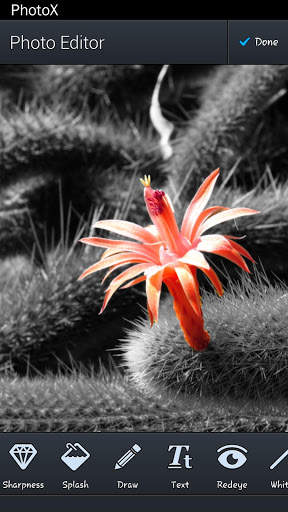 PhotoX screenshot 2