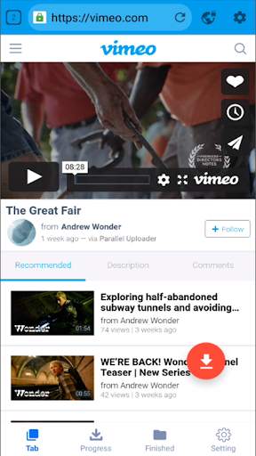 Browser Video Download screenshot 2