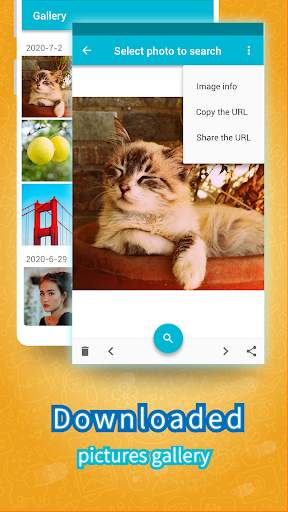 Photo Search Master - Search photo by images screenshot 5