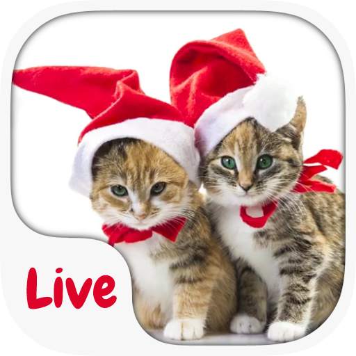 Kitten  Live KeyboardTheme 1.0