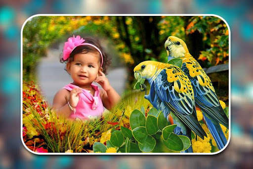 Birds Photo Frames screenshot 2