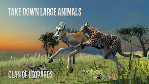 Clan of Leopards screenshot 2