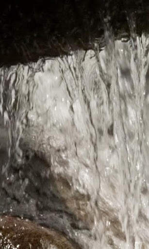 Aquatic wall live wallpaper screenshot 3