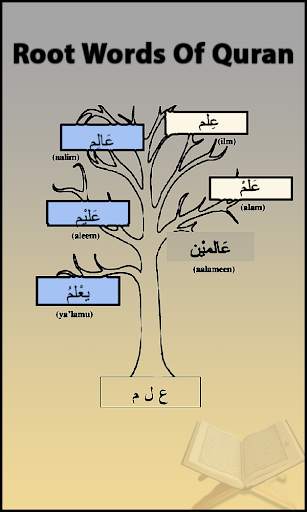 Root Words of Quran | Complete Quran Root Words screenshot 1