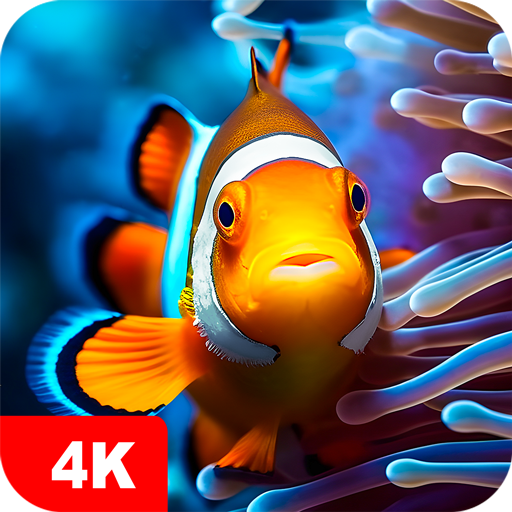 Fish Wallpapers 4K أيقونة