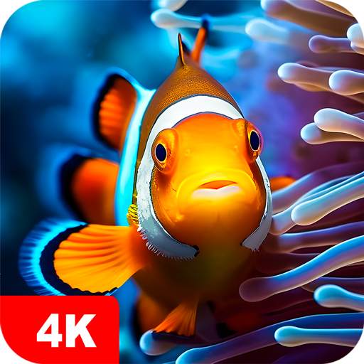 Fish Wallpapers 4K 5.7.4