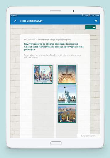Voxco Mobile Offline screenshot 3