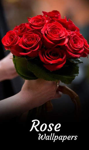 Rose Wallpapers screenshot 1