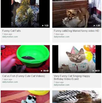Funny Cat Videos HD screenshot 3