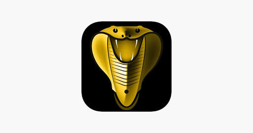 Cobra player screenshot 1